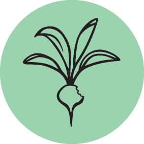 Permaculture Principle Three: Obtain a Yield