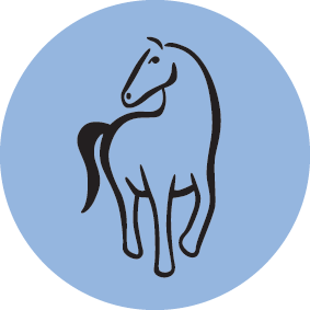 Permaculture Principle 5: Use & Value Renewable Resources & Services