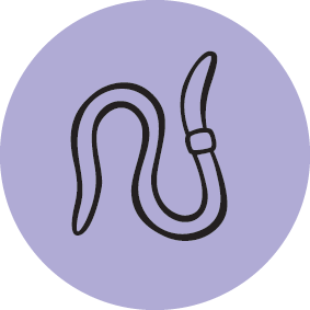 Permaculture Principle 6: Produce No Waste