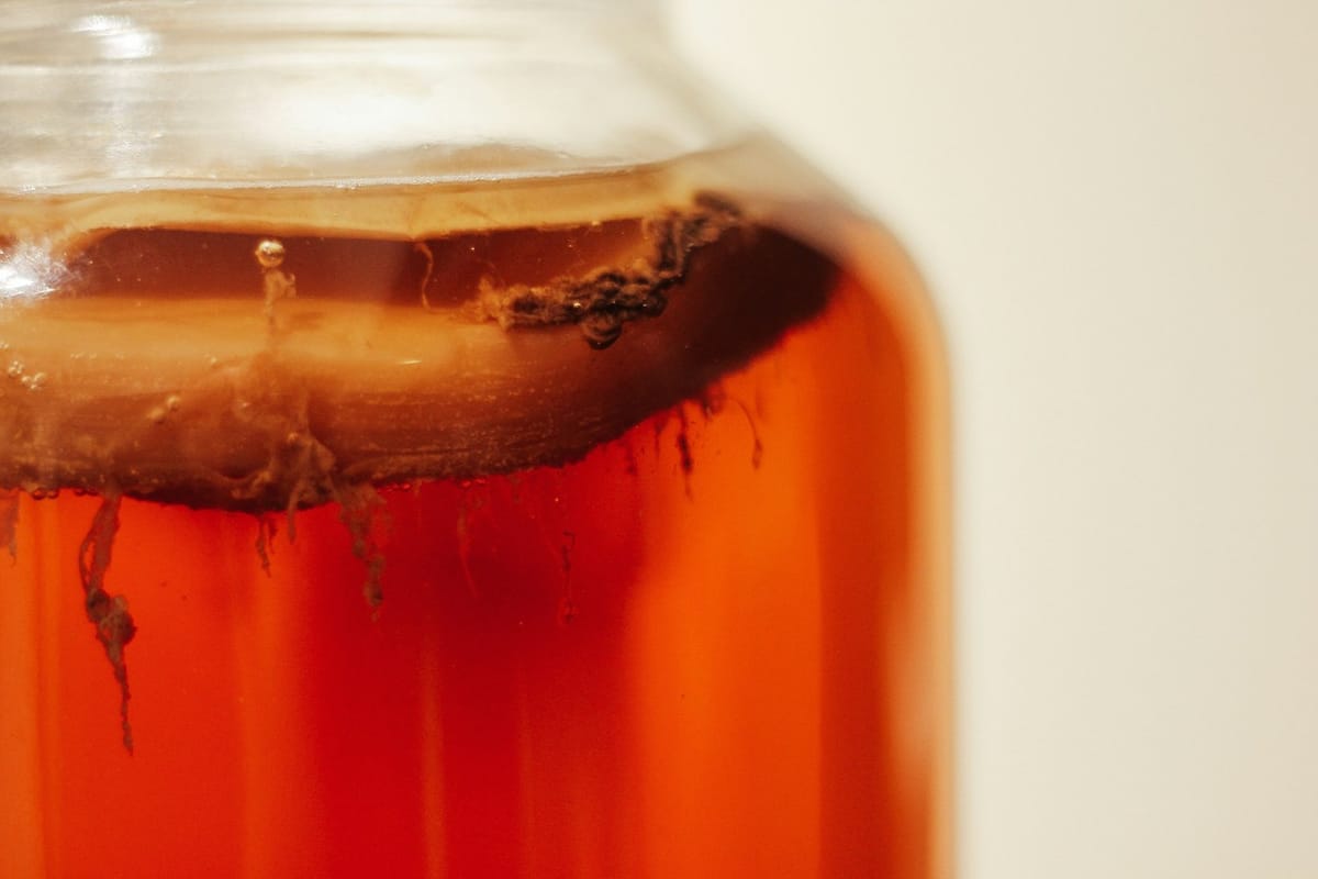 How To Make Kombucha and How To Use a SCOBY