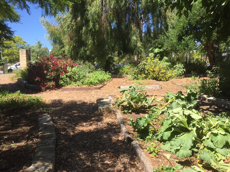 Eco-Optimism: A Way Forward Through Disaster