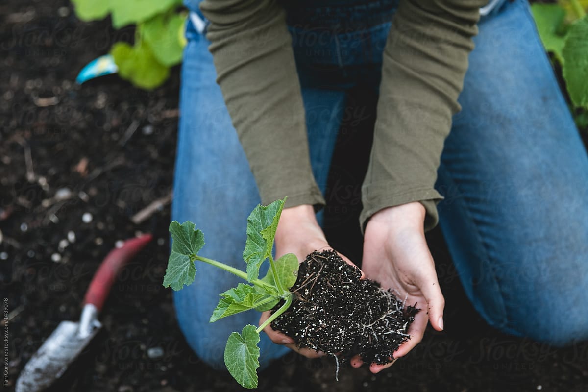 April Gardening Guide for Temperate Climate