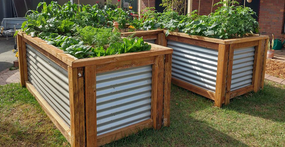 Are Raised Garden Beds Right For You?