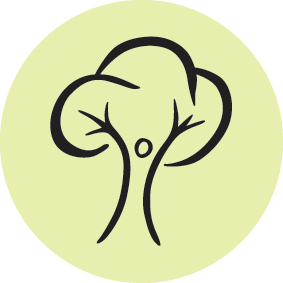 Permaculture Principle One: Observe and Interact