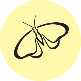 Permaculture Principle 12: Creatively Use and Respond to Change