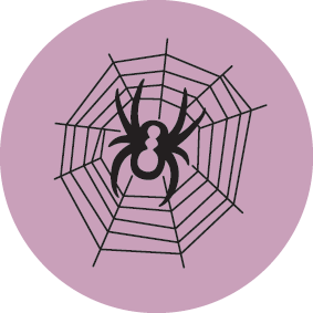 Permaculture Principle 7:Design From Patterns To Details