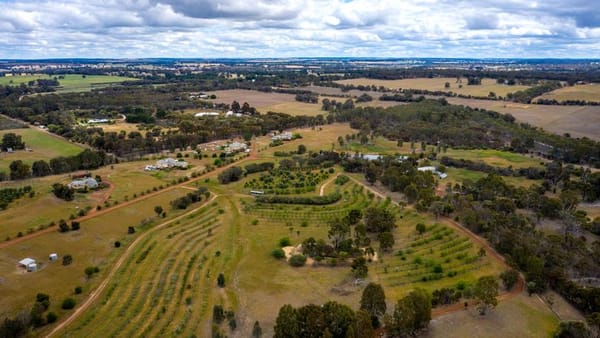 How To Build a Drought-Tolerant Food Forest for Temperate Climate