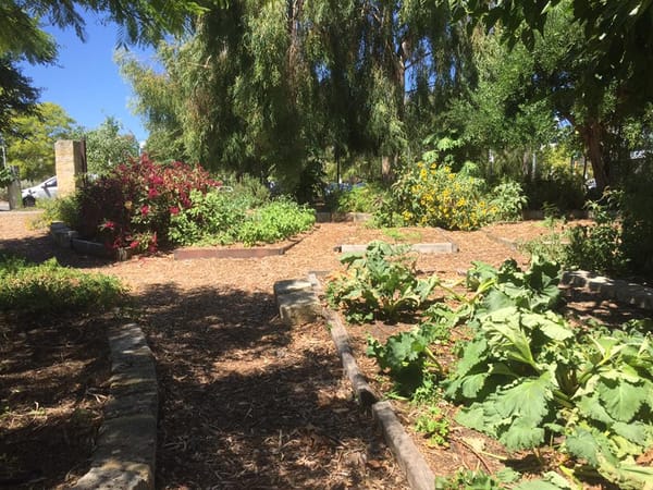 Eco-Optimism: A Way Forward Through Disaster