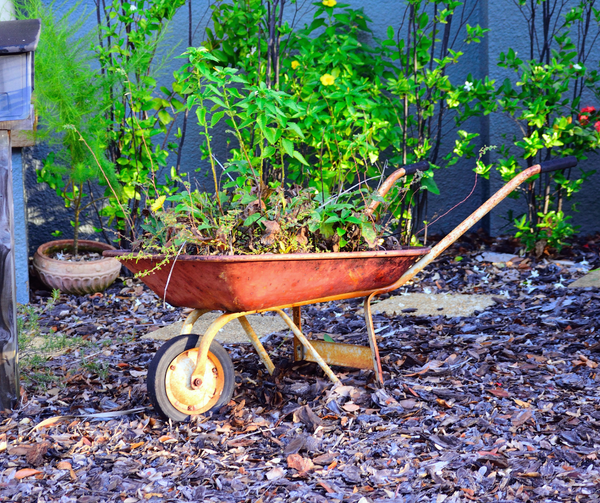 How to Save Money with Permaculture and the Circular Economy