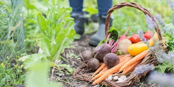 More Than Free: Why the Gift Economy Might Be What You’re Missing